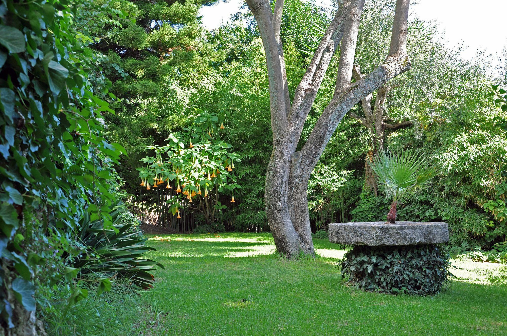 Villa Domenicale Ágios Márkos Buitenkant foto